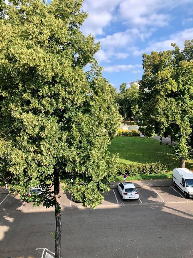 Rare A Colmar - Appartement Champ De Mars Vue Sur Parc - 70M2 - 2 Chambres Bagian luar foto
