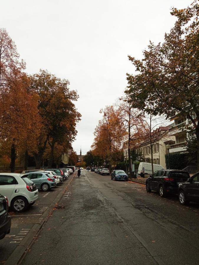 Rare A Colmar - Appartement Champ De Mars Vue Sur Parc - 70M2 - 2 Chambres Bagian luar foto