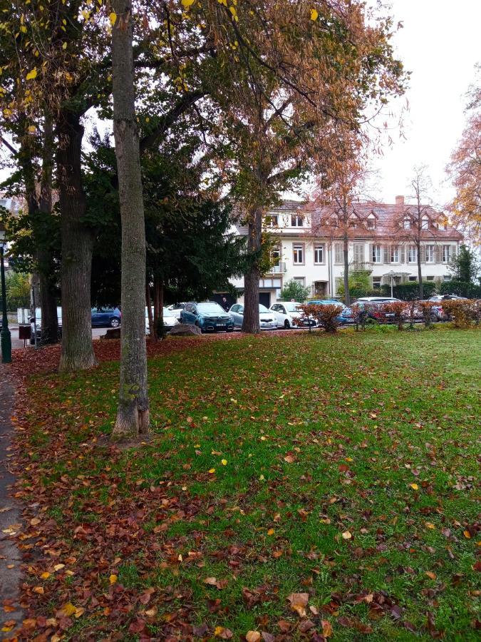 Rare A Colmar - Appartement Champ De Mars Vue Sur Parc - 70M2 - 2 Chambres Bagian luar foto