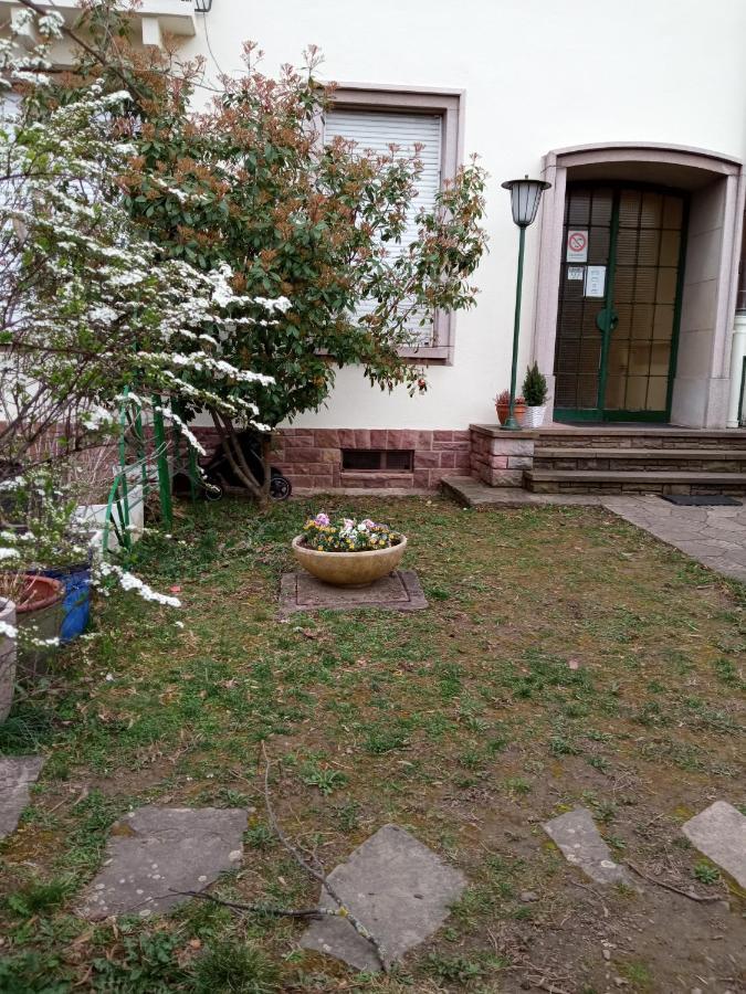Rare A Colmar - Appartement Champ De Mars Vue Sur Parc - 70M2 - 2 Chambres Bagian luar foto